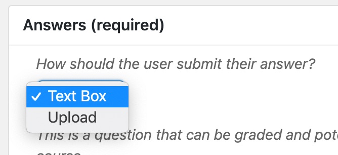 2 סוגים של שאלות מאמר של LearnDash